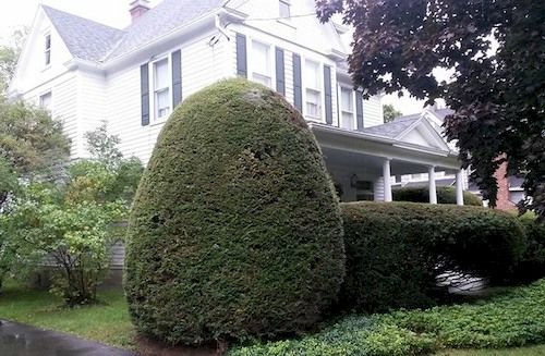 Park House Bed & Breakfast Johnson City Экстерьер фото